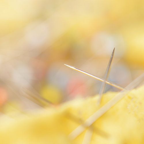 Freundschaftlicher Kampf