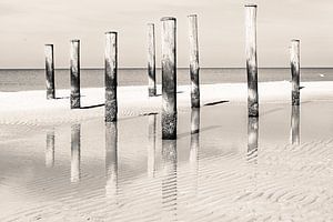 Palendorp Petten, reflectie, Zand en Water