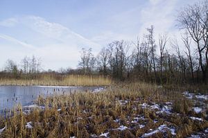 Wintergezicht van Ad Steenbergen