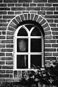 Fenster hinter den Büschen | Niederlande | Straßenfotografie