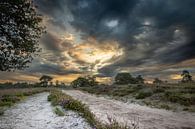 Light by Cor Bak thumbnail