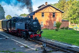 A view of the narrow-gauge railroad in Bertsdorf by Andreas Völkel