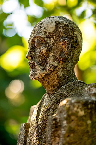 Verweerd beeldhouwwerk van Poster Art Shop