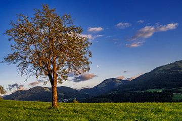 Idyllisch berglandschap in Tirol van ManfredFotos