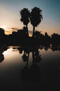 Palmbomen reflectie van Stefan Feenstra