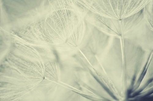 Jack go to bed at noon