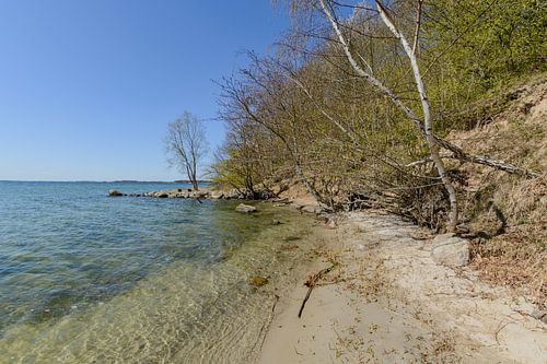 Sur la rive du Goor, sur l'île de Vilm, à Lauterbach sur Rügen