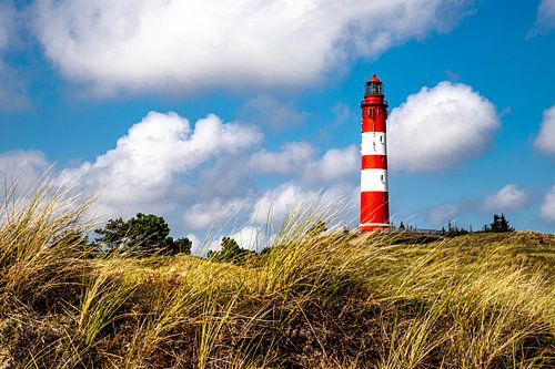 Blick zum Amrumer Leuchtturm aus den Dünen