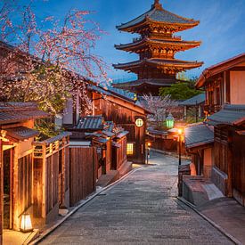 Pagode und Kirschbäume in Kyoto, Japan von Michael Abid