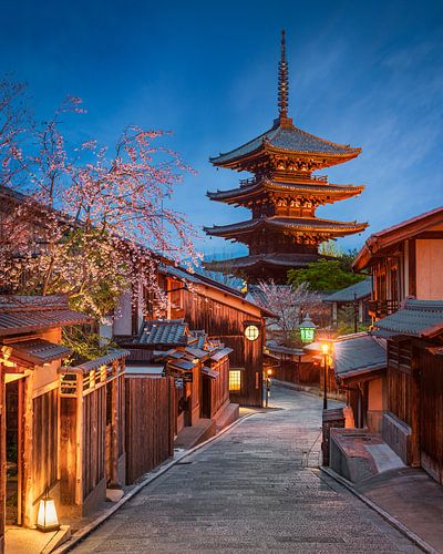 Pagode und Kirschbäume in Kyoto, Japan von Michael Abid