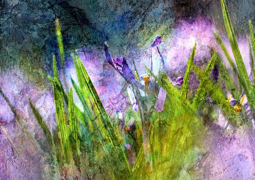 Bathing in the Purple rain.