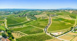 Panorama landschap Toscane