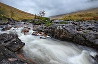 Autumn at the Glen Etive River by Rolf Schnepp thumbnail