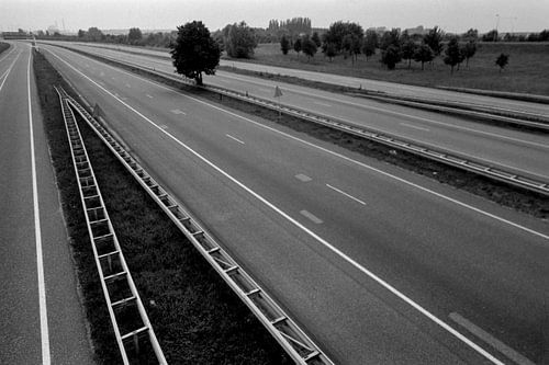 Elst 25-06-1988. Rijksweg A52 (A325) is verlaten ivm Europacupfinale voetbal Sovjet Unie-Nederland (