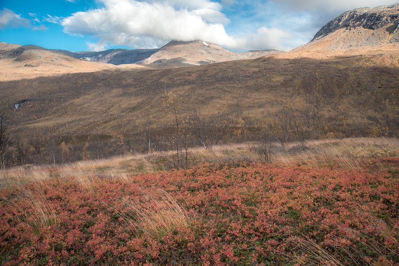 Øvre Dividal National Park 4 by Marc Hollenberg