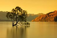 Lake Wanaka bij zonsopgang, Nieuw-Zeeland van Markus Lange thumbnail