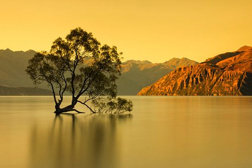 Lake Wanaka at sunrise, New Zealand