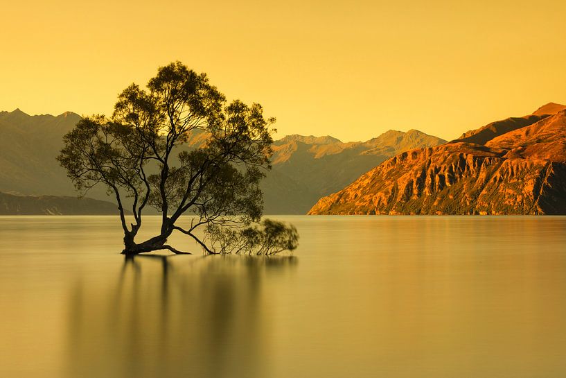 Lake Wanaka bij zonsopgang, Nieuw-Zeeland van Markus Lange