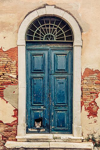 Chatière sur Origin Artworks