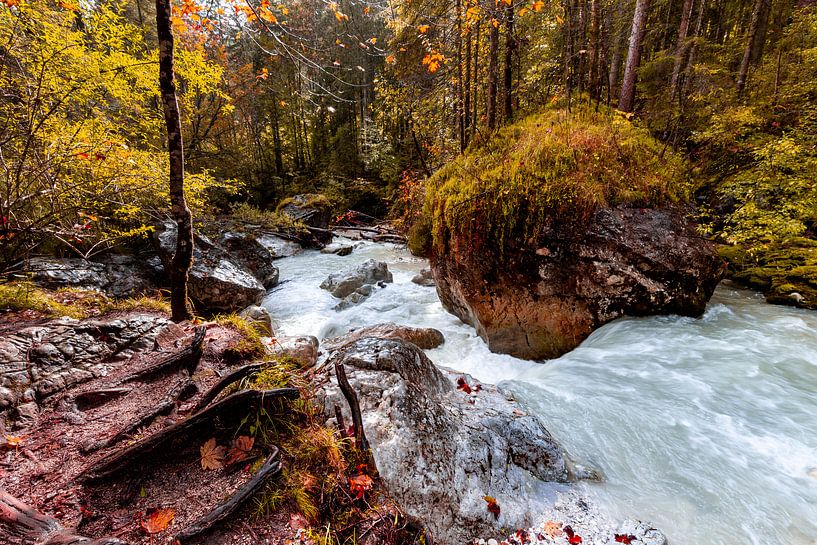Herbst im Zauberwald von Dirk Rüter