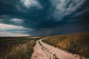 Regen op komst van Frank Verburg