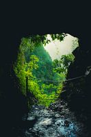 middle of tunnel at levada