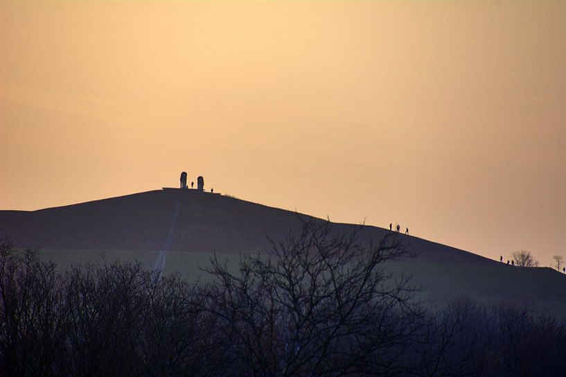 Down van Edgar Schermaul