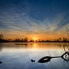 Tak in het water bij zonsondergang by Ralf Köhnke