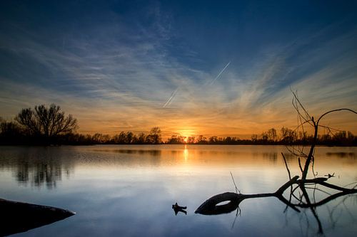 Tak in het water bij zonsondergang