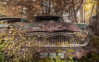 Car in the woods