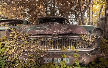 Car in the woods van Olivier Photography