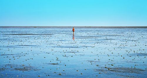 Wadden Sea