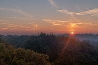 Doorn, Kaapse Bossen