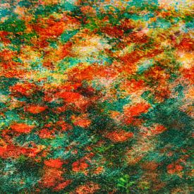 Pittoreske Mohnblumen von Yanuschka | Fotografie Noordwijk