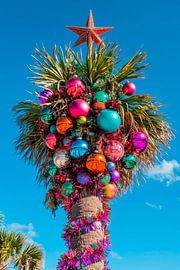 Kerstboom palm van Poster Art Shop