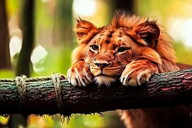 Lion au repos sur une branche sur Imperial Art House