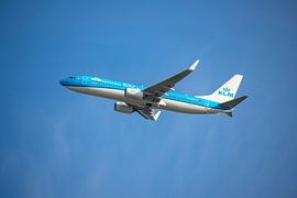 KLM PH BCK, Boeing 737-800, der Albatros