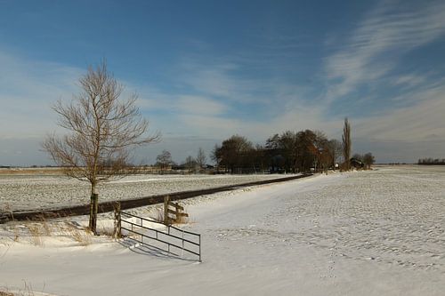 Winter landscape in Friesland