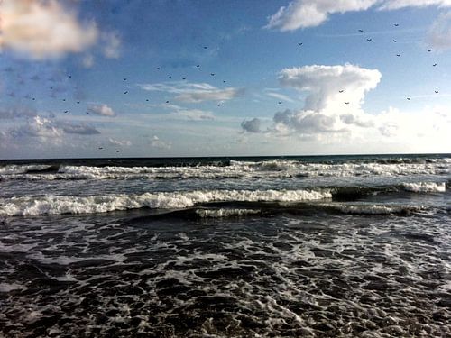 Meer Wasser Traum  Carmen Sander 