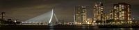 Panorama van skyline van Rotterdam van Miranda van Hulst thumbnail