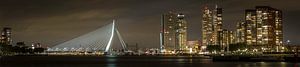Panorama de la ligne d'horizon de Rotterdam