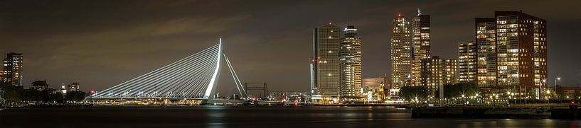 Panorama van skyline van Rotterdam van Miranda van Hulst