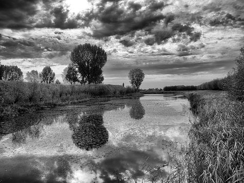 Castle moat Loevestein