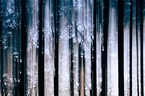 Abstract boslandschap