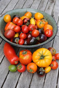 Viele verschiedene Tomatensorten von Karina Baumgart