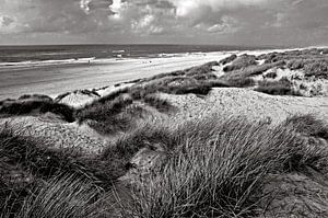 Sanddünen in Jütland am Henne-Strand