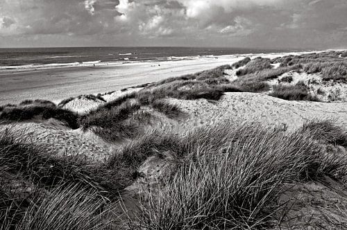 Zandduinen in Jutland op het strand van Henne