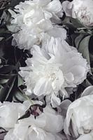 Weelderig bloeiende witte pioenrozen - romantische bloemenposter met vintagelook