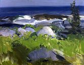 Vine Clad Shore, Monhegan Island (1913) schilderij van George Wesley Bellows. van Dina Dankers thumbnail