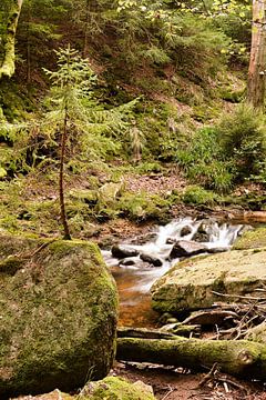 La rivière Ilse dans le parc national du Harz sur Heiko Kueverling
